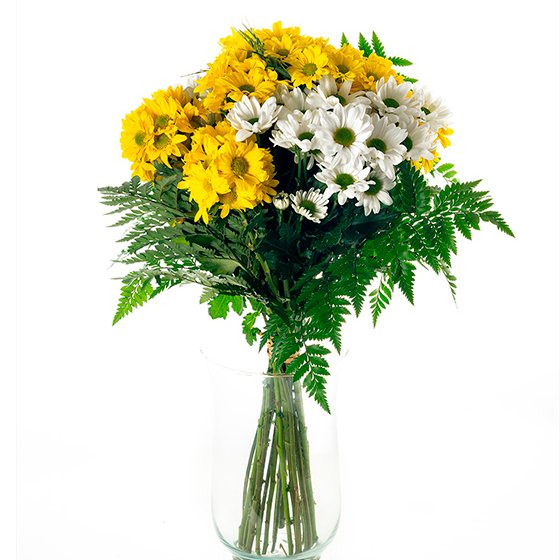 Ramo de flores margaritas amarillas y blancas