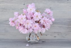 Ramo Flores Luxemburgo, Flores para Regalar, Floristería de Málaga, Entregas de Ramos de Flores, Floristas Profesionales