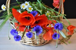 envío de cestas de flores de colores alegres, envío de cestas de flores a domicilio, Arte Floral, cestas de flores alegres para cumpleaños