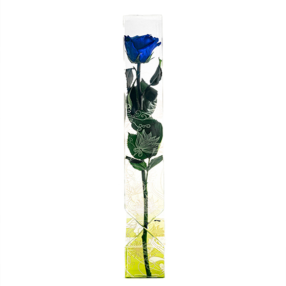 Rosa preservada azul