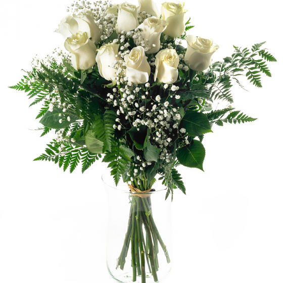 Ramo de 12 rosas blancas para regalo