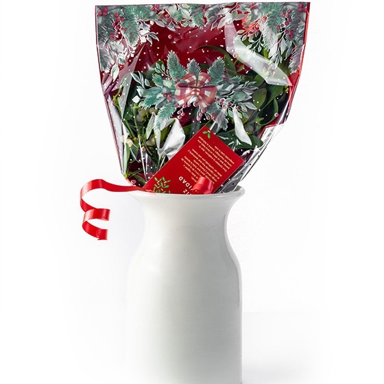 Muérdago para regalar