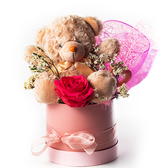 Rosa Preservada fucsia con peluche en caja de regalo