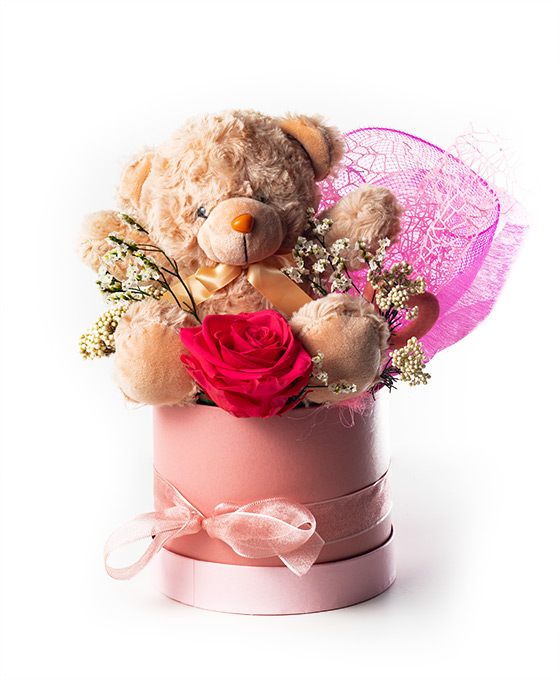 Rosa Preservada fucsia con peluche en caja de regalo