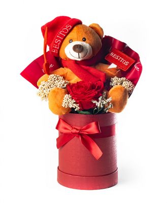 Rosa preservada roja con peluche para regalar en San Valentín