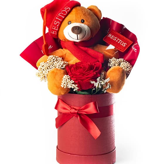 Rosa preservada roja con peluche para regalar en San Valentín