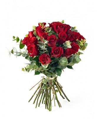 Ramo de 24 Rosas Rojas para regalar