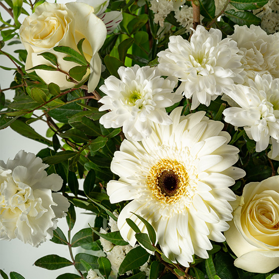 Ramos para el día de la madre en Málaga